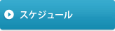 スケジュール