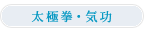 ���Ɍ��E�C��