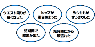 体験者の感想