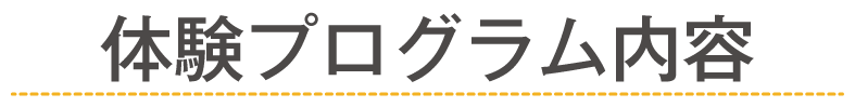 体験プログラム内容