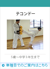 テコンドー
